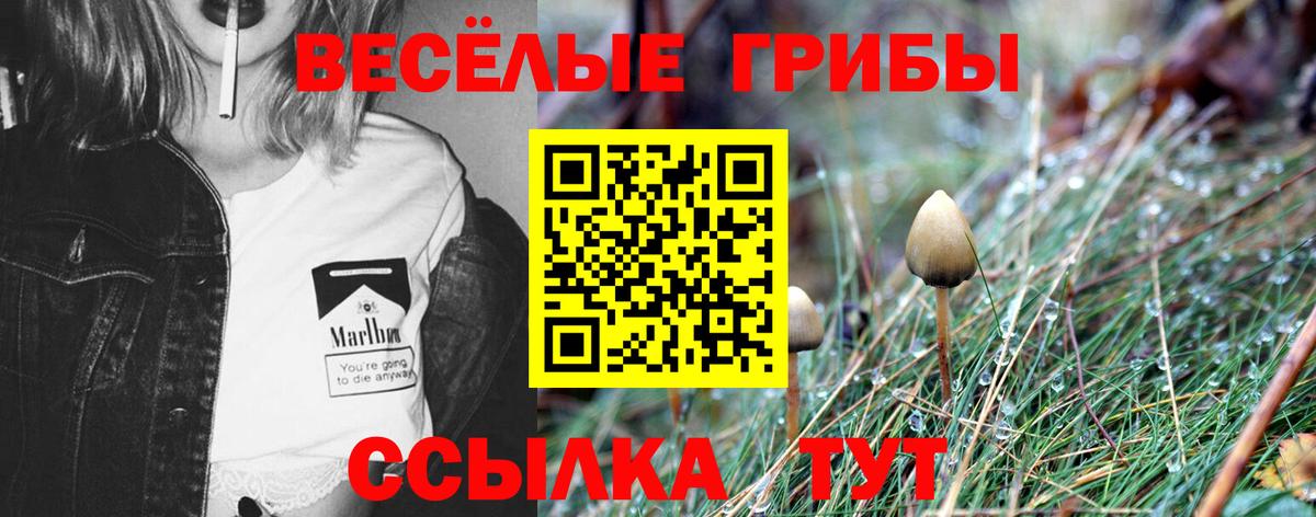Галлюциногенные грибы мухоморы Иваново